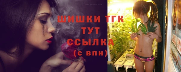 прущий лед Абаза