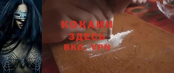 гидра Покачи