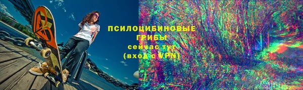 прущий лед Абаза