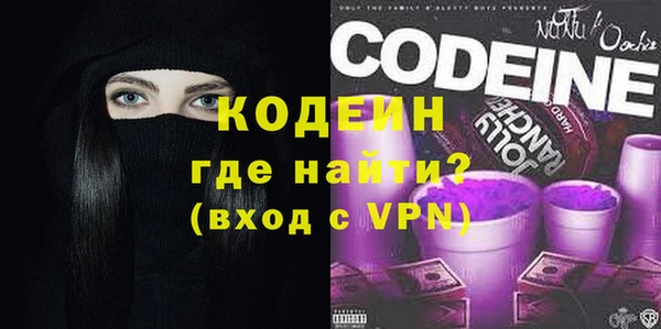 гидра Покачи
