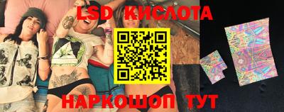 spice Бийск