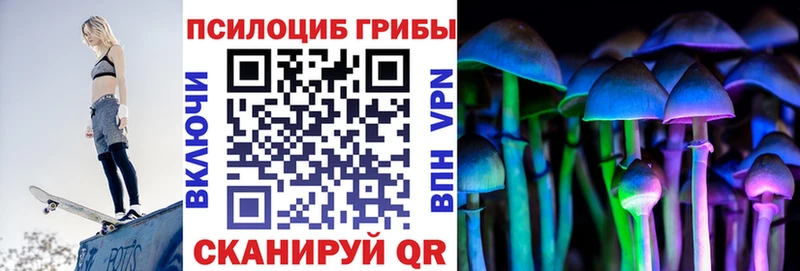 МЕГА как войти  даркнет сайт  Звенигород  shop состав  Псилоцибиновые грибы GOLDEN TEACHER 